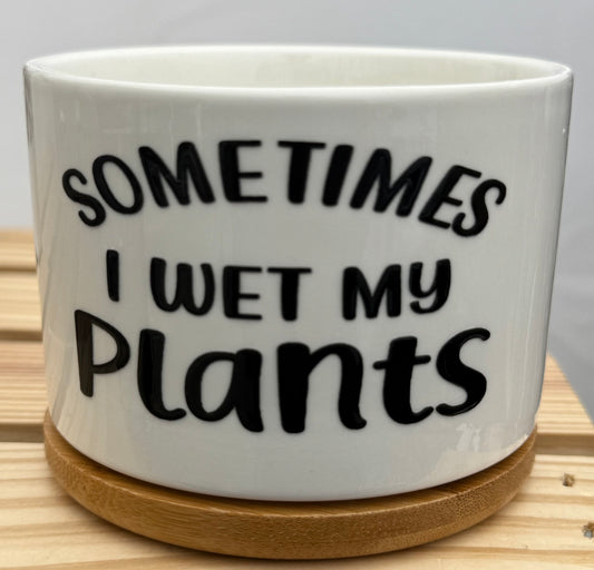 Funny Succulent Pot